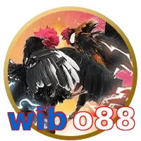 wibo88